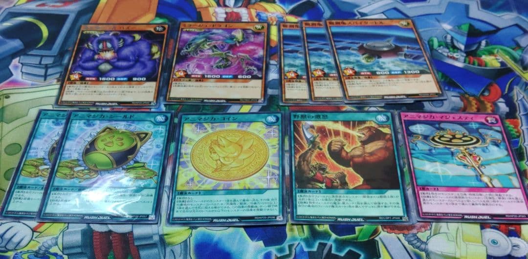 遊戯王　アニマジカ　デッキ　構築済み