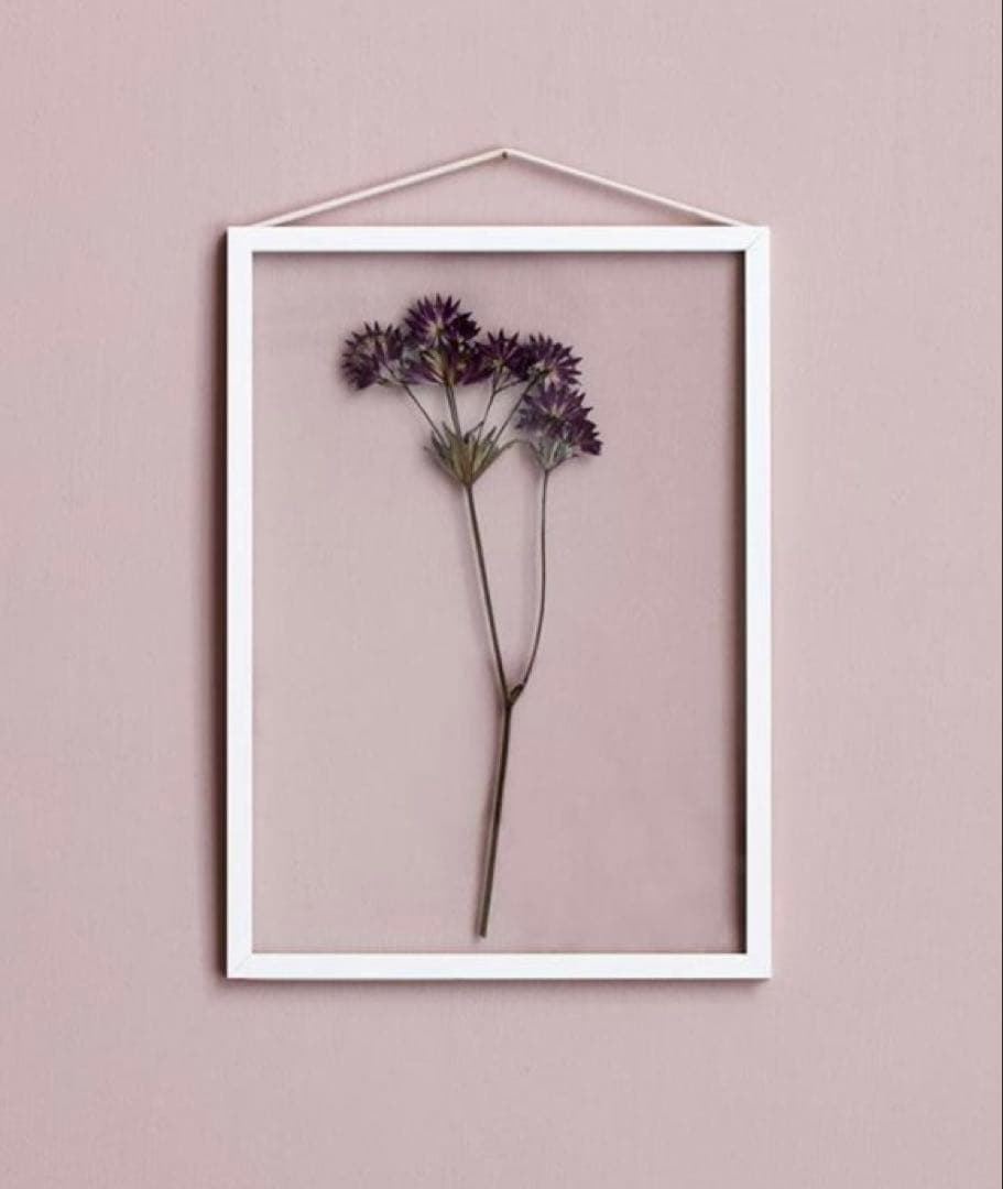 【新品】MOEBE FRAME A4 ホワイト ムーべ