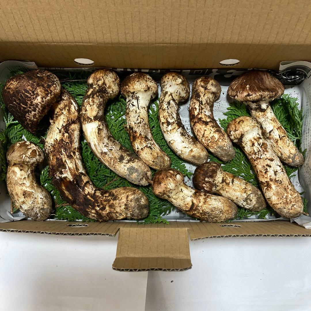 岩手県産　松茸　410g