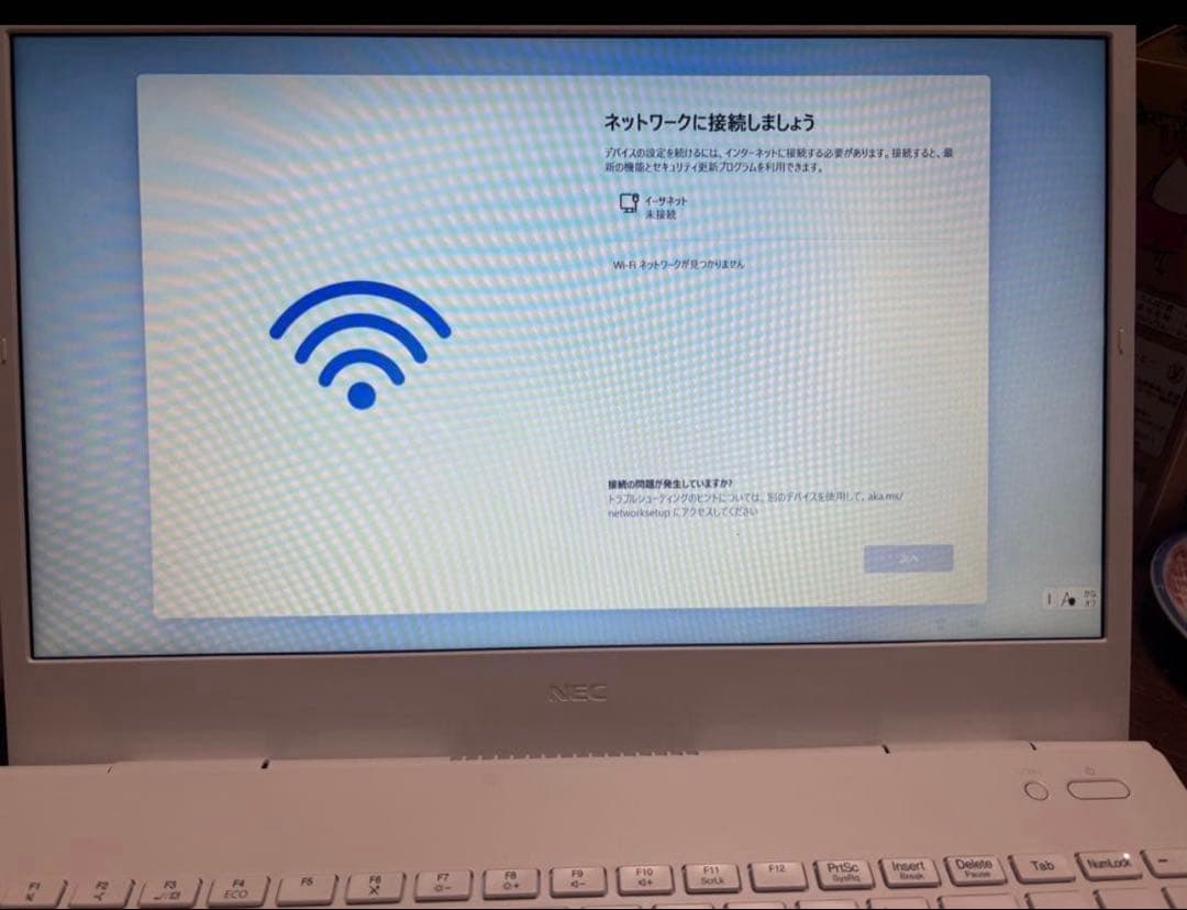 LAVIE N15 N1565/CA ［PC-N1565CAW］ 2021年秋