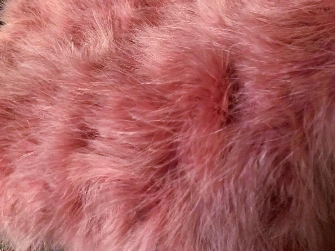 SCHERVINO Street 　フェザーコート　ピンクパープル＊ M