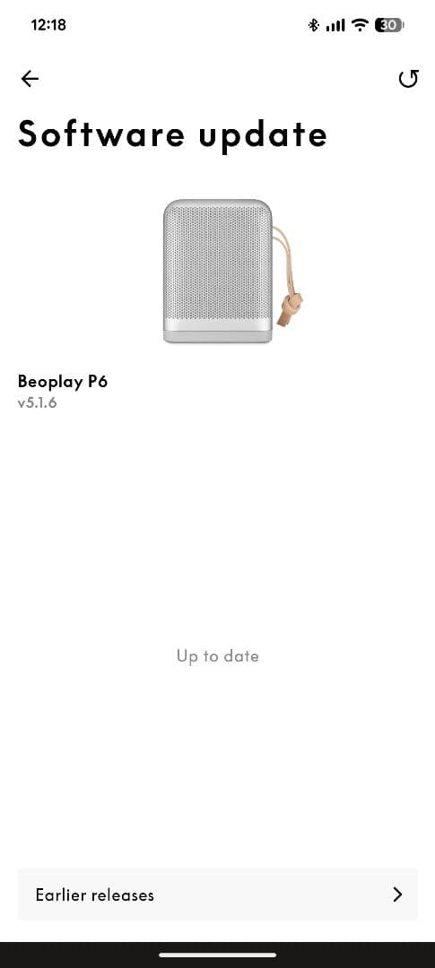 スピーカー・ウーファー B&O beoplay p6