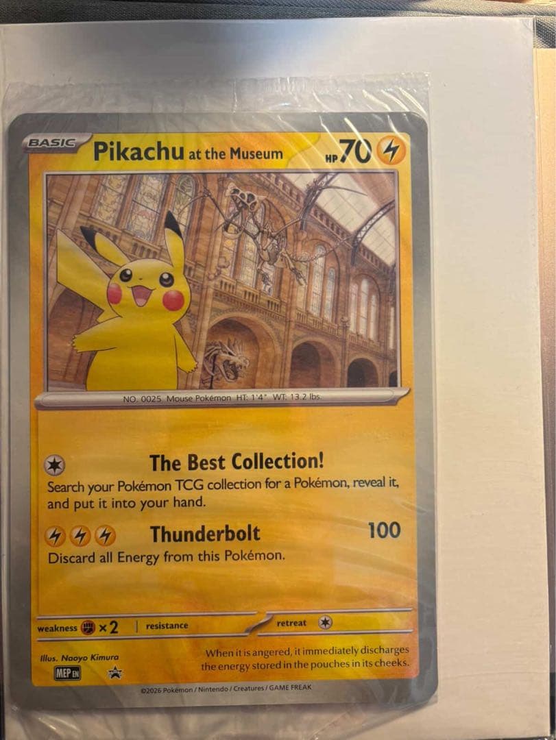 d*0様 未開封 Pikachu at the Museum ピカチュウ 博物館