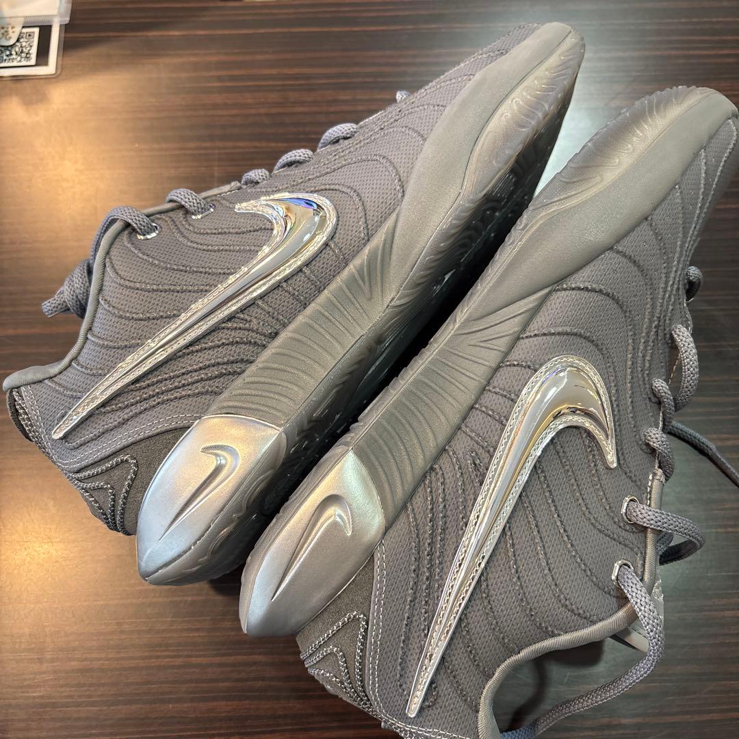 猫*ー様 Nike LeBron21 グレー