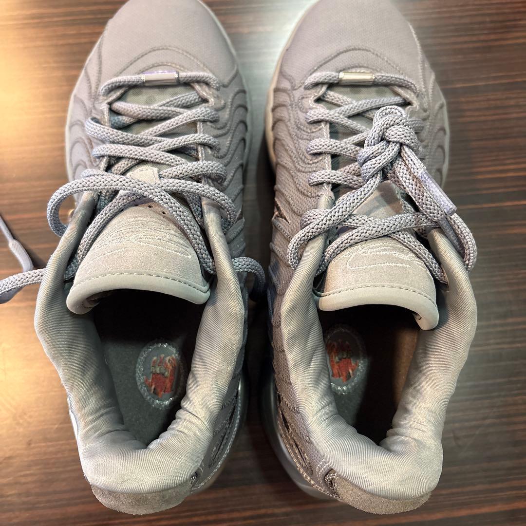 猫*ー様 Nike LeBron21 グレー