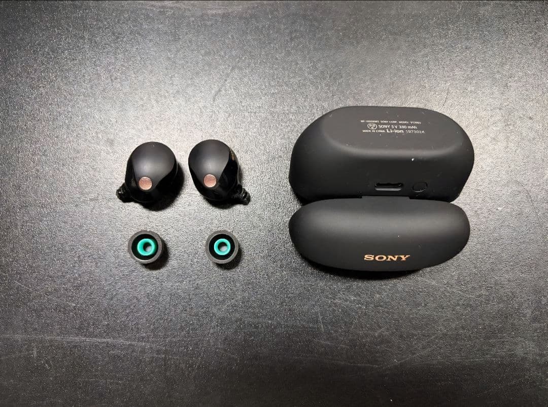 ソニー ワイヤレスイヤホン WF-1000XM5