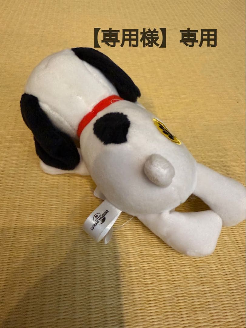 専用様 のふりかけ