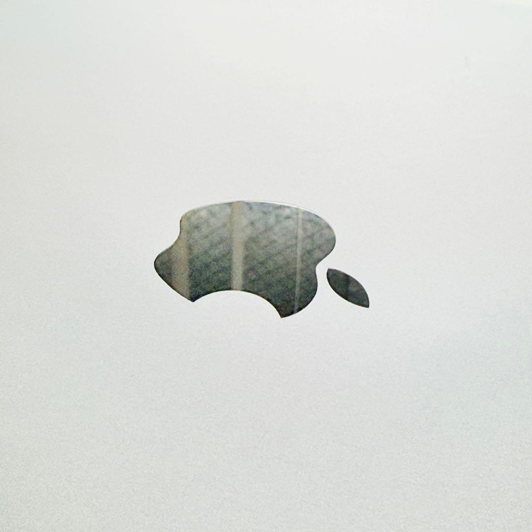 iPad Pro 12.9インチ 第3世代 Apple Pencil 純正ケース