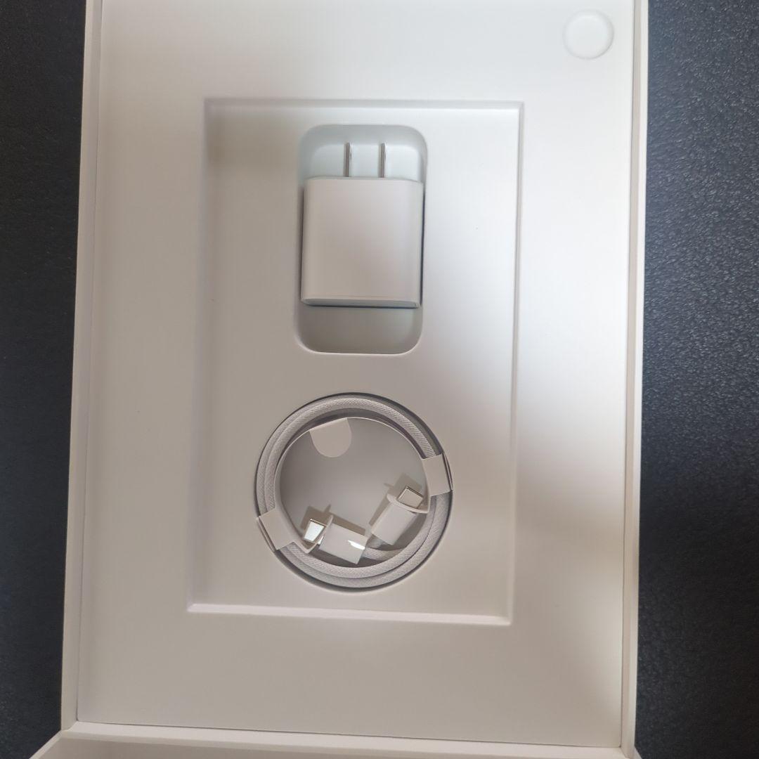 iPad (第10世代) ピンク 64GB