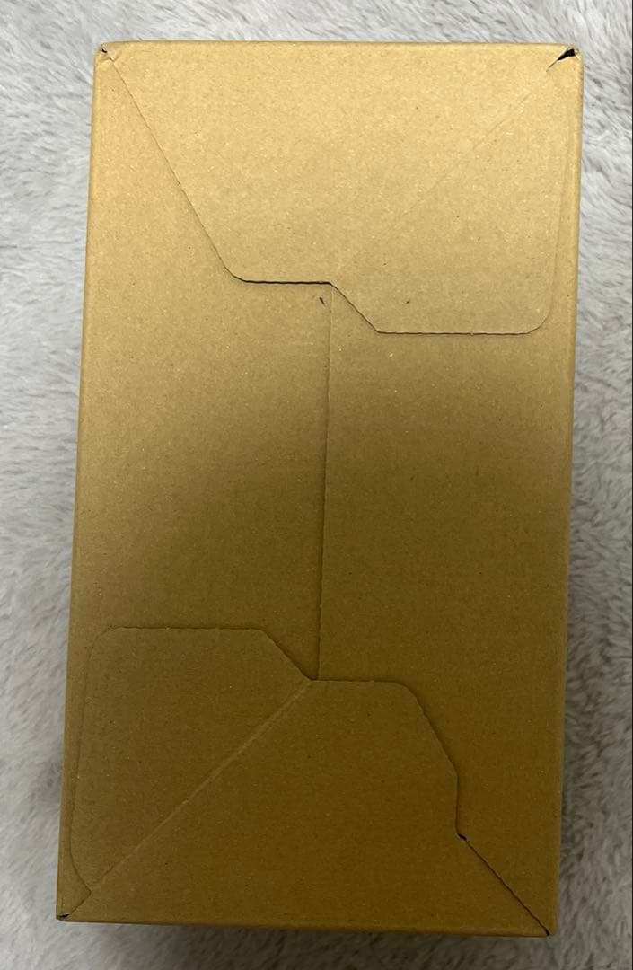 【新品未開封】ポケモンセンタースペシャルBOX ヒロシマ 2次抽選分