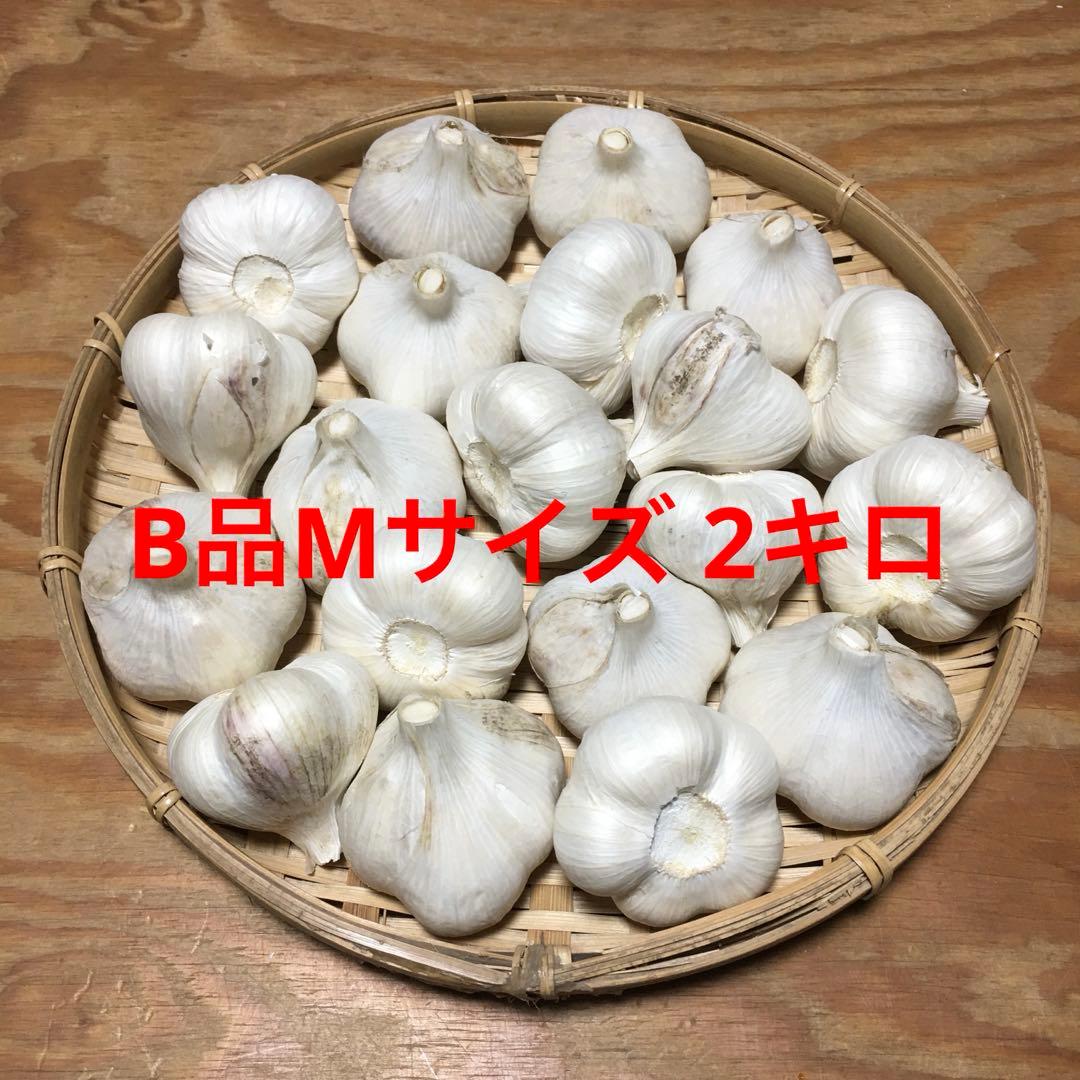 青森県産 にんにく サメ子ママ