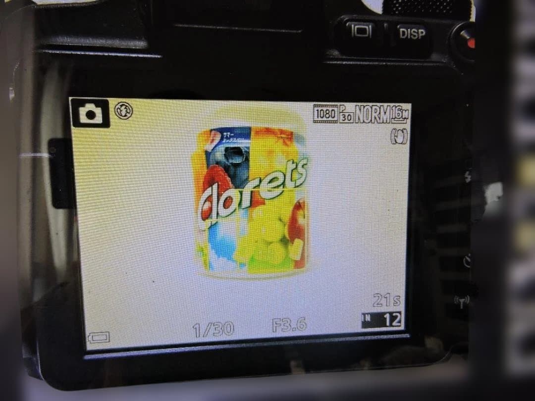 Nikon COOLPIX P600 ニコン クールピックス デジカメ 動作品