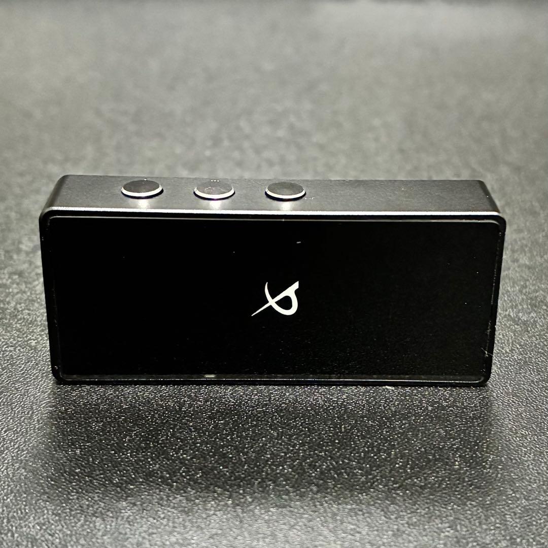 ファイナル VR3000 有線イヤホン Black Pearl 2点出音確認済み