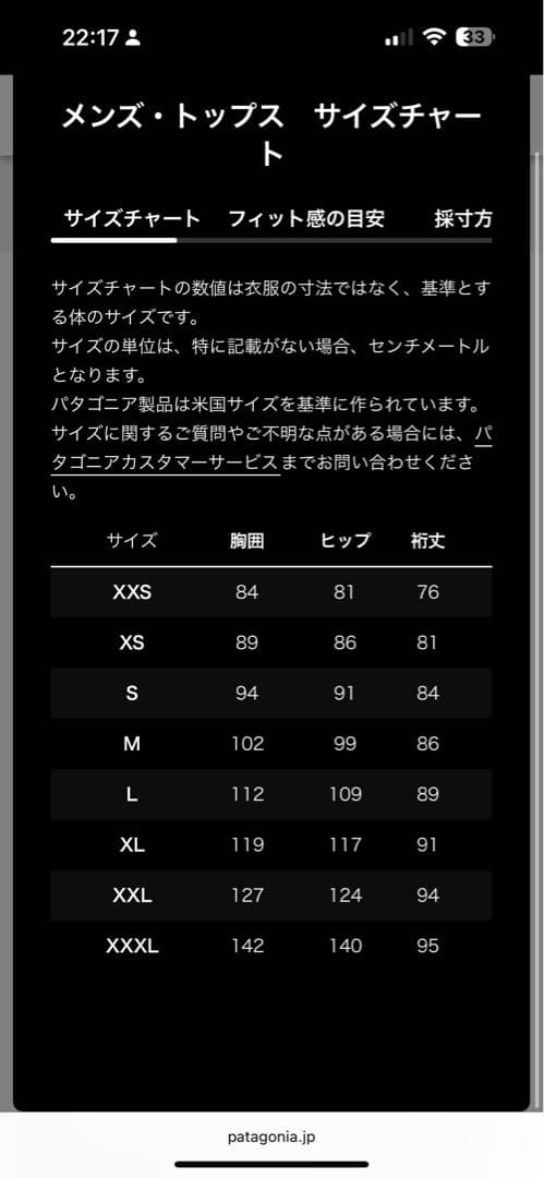 Patagonia スノードリフター セットアップ