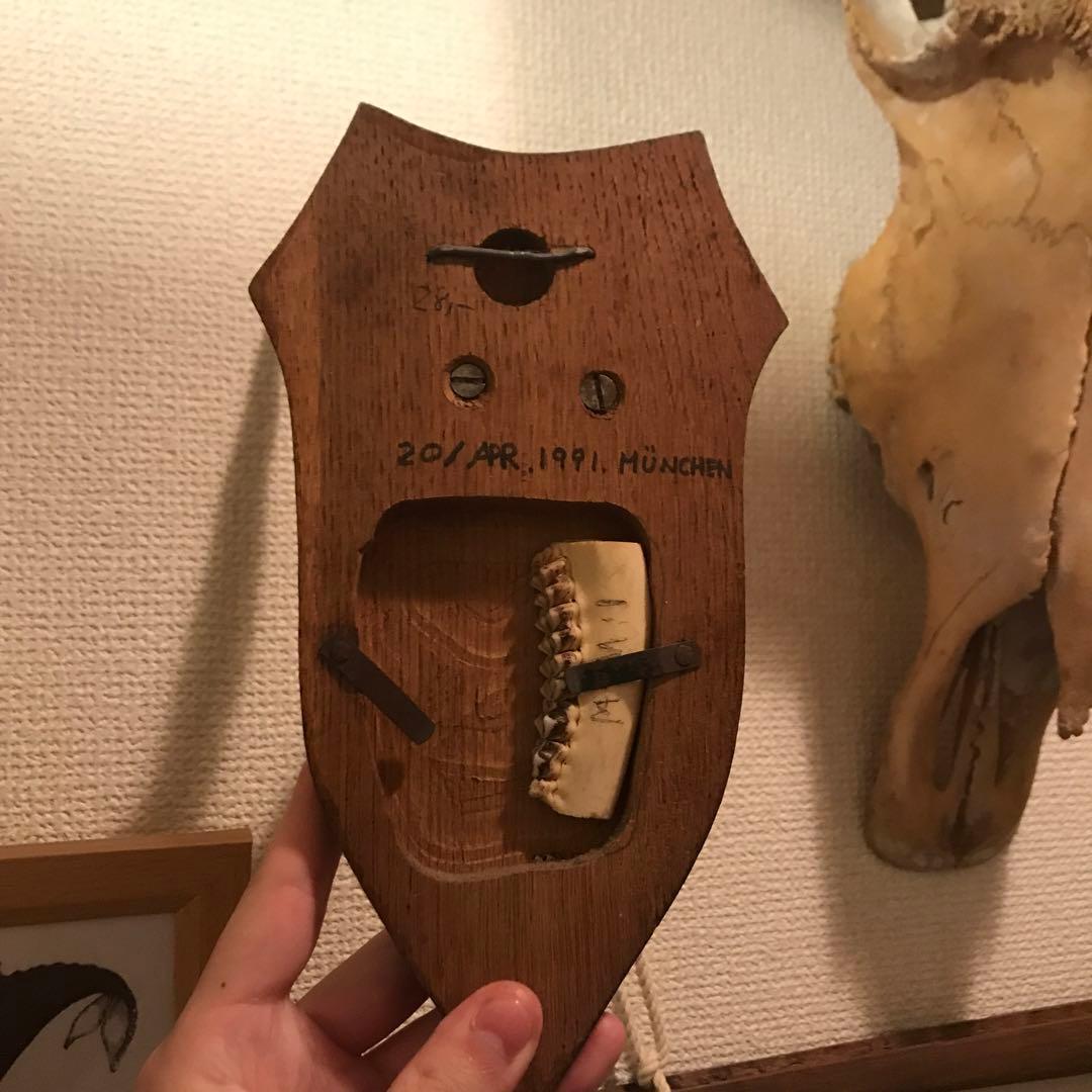 ノロジカ　ハンティングトロフィー　頭骨　鹿の角　剥製　アンティーク　雑貨　チーク