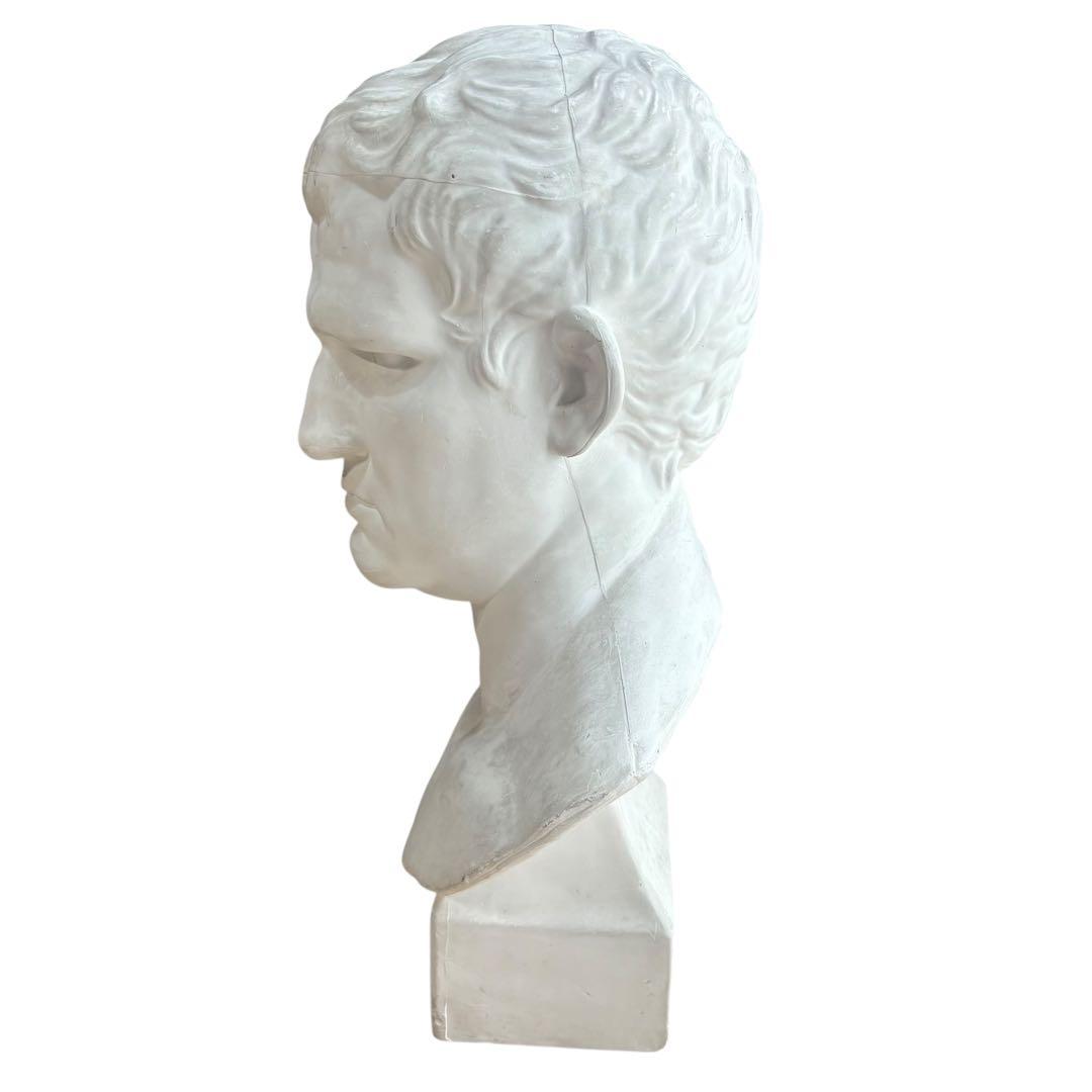 石膏像 アグリッパ 実寸サイズ 高さ59cm 美大デッサン用