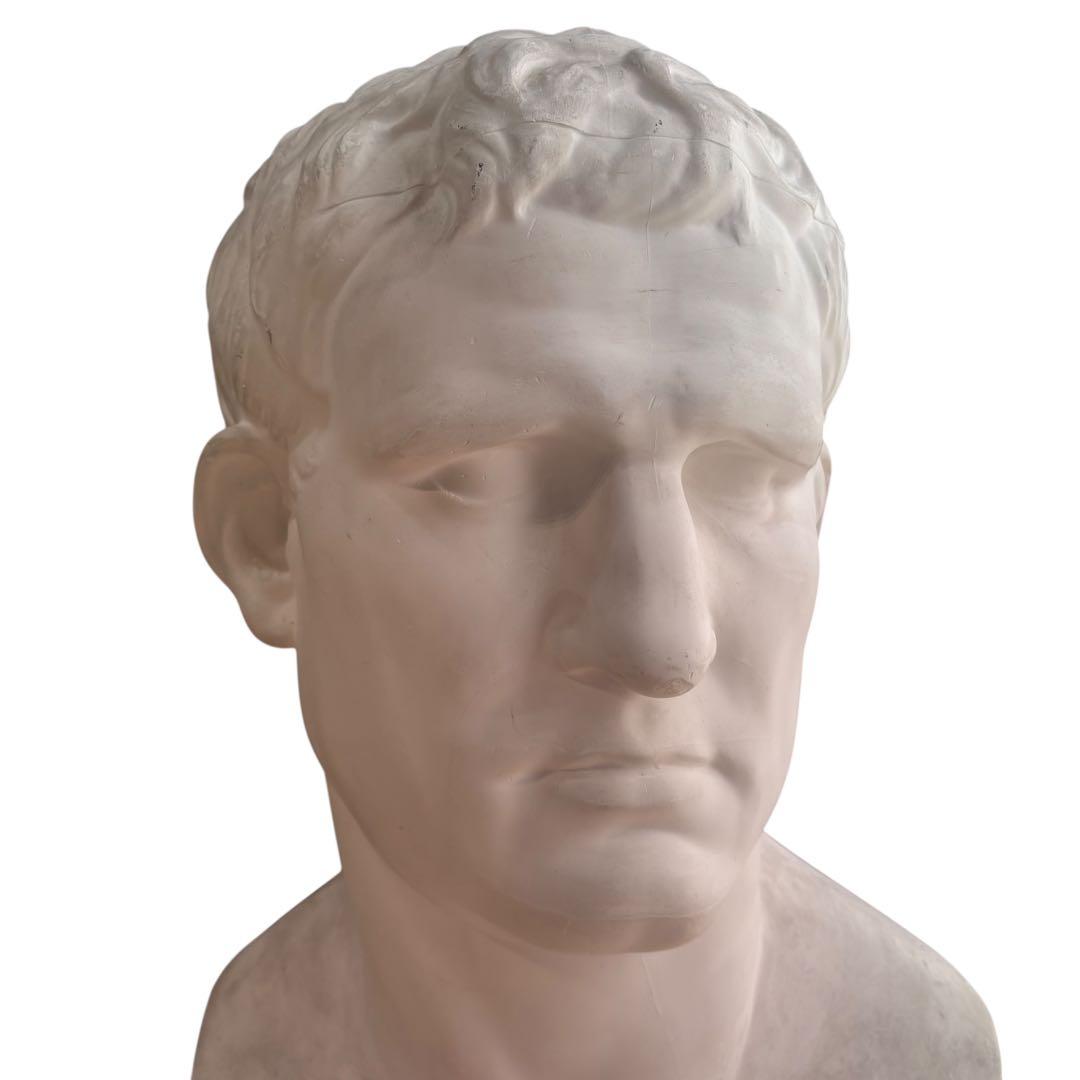 石膏像 アグリッパ 実寸サイズ 高さ59cm 美大デッサン用