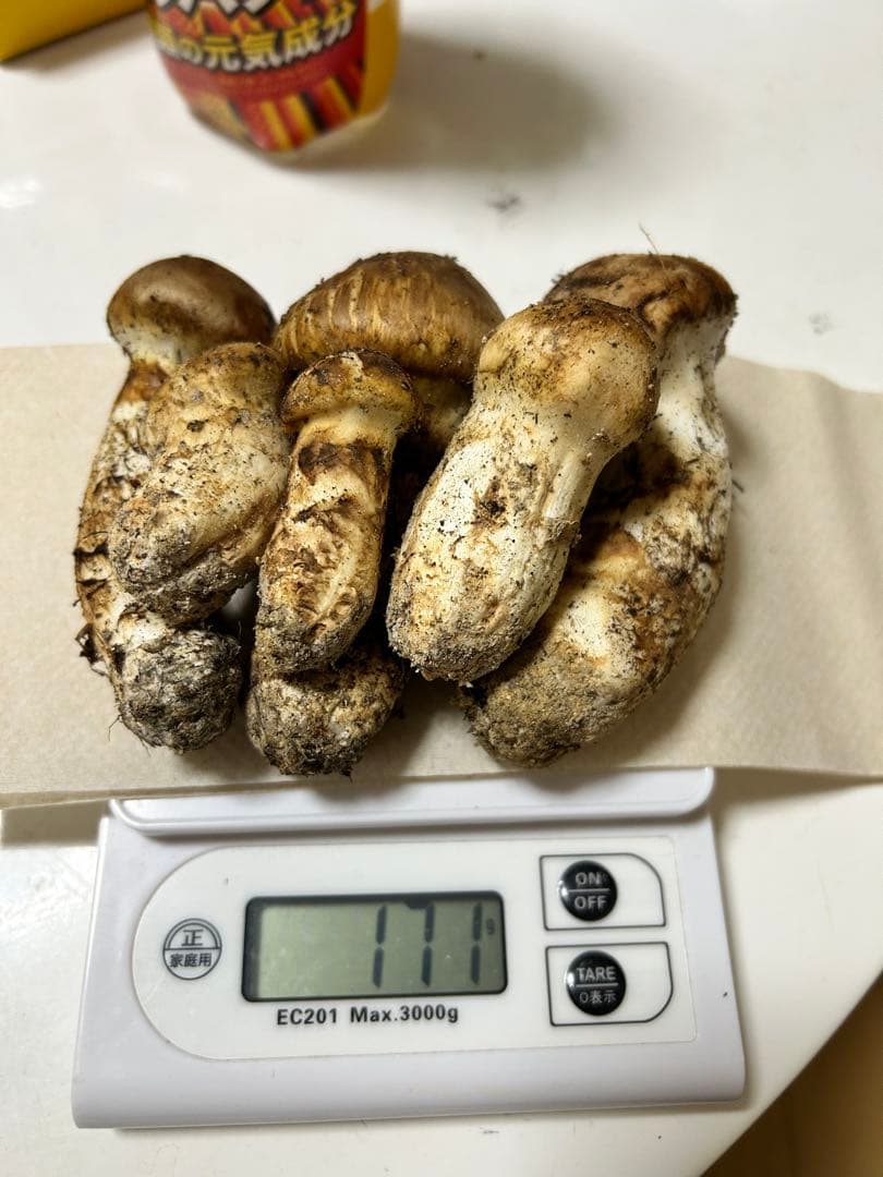 国産松茸極上171g