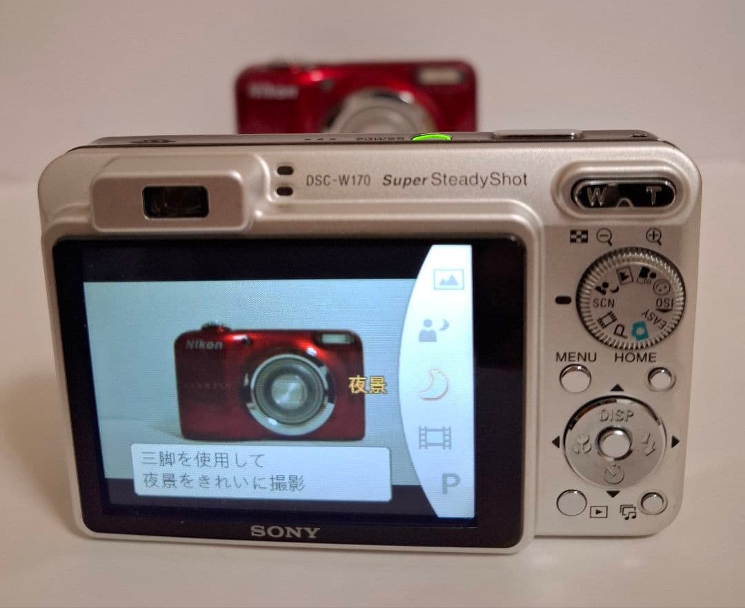 ソニー SONY Cyber-Shot DSC-W170 デジタルカメラ