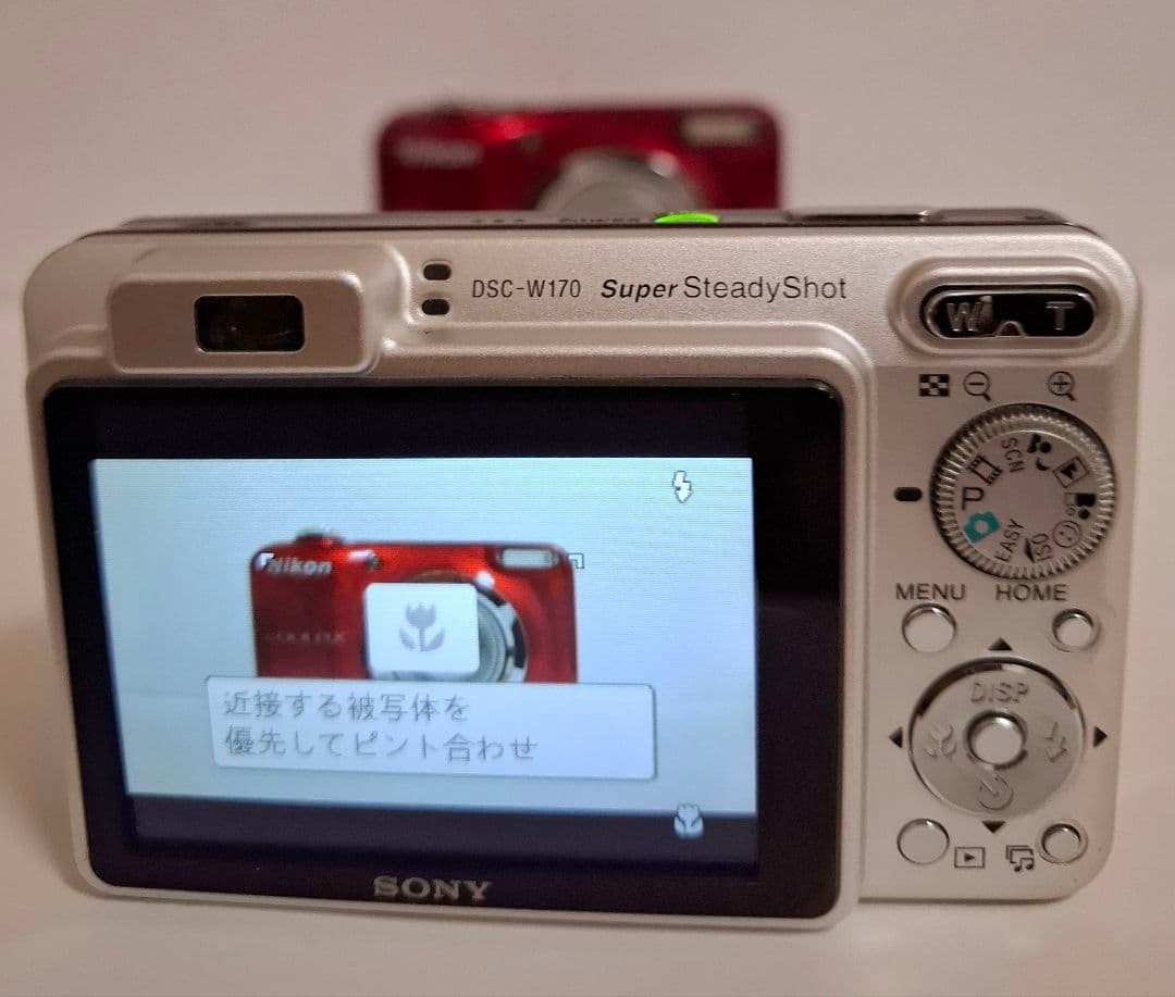 ソニー SONY Cyber-Shot DSC-W170 デジタルカメラ