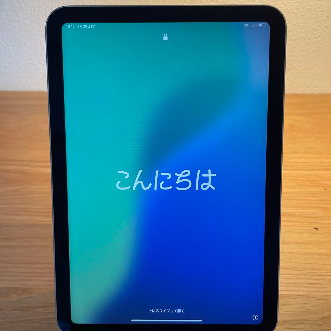 iPad mini6 256GB wi-fi タイプ