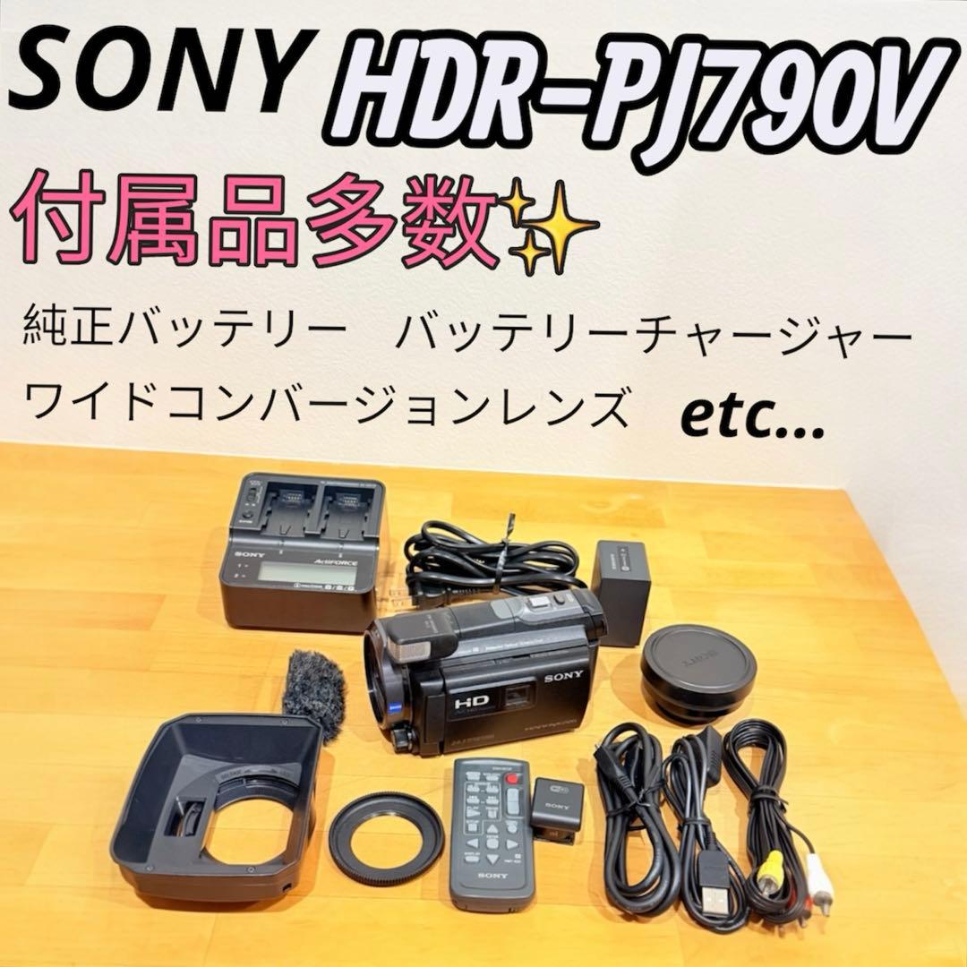 付属品多数　SONY HDR-PJ790V ビデオカメラ　ソニー