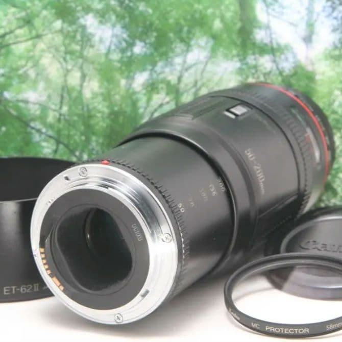 ☆コスパ抜群のLレンズ☆CANON EF 50-200mm F3.5-4.5L☆