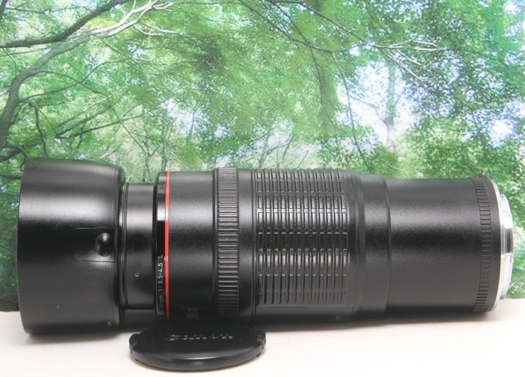 ☆コスパ抜群のLレンズ☆CANON EF 50-200mm F3.5-4.5L☆