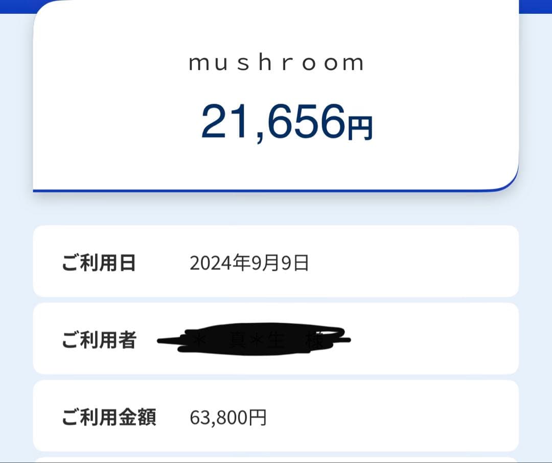 k*z様 1970s LEVI'S 70505 529ボタン 4th bigE