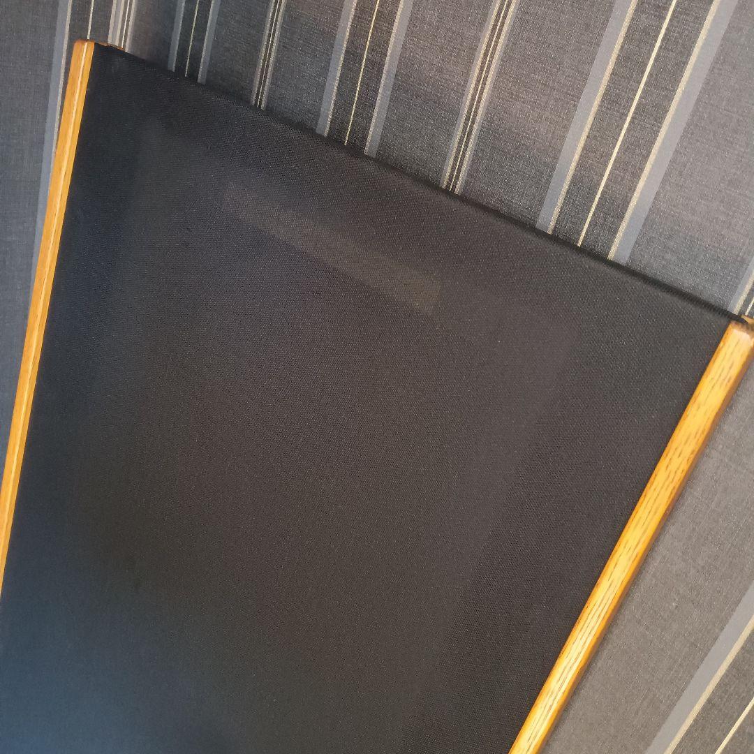 高級 USA製 マグネパン MAGNEPAN SMGA 平面ペアスピーカー