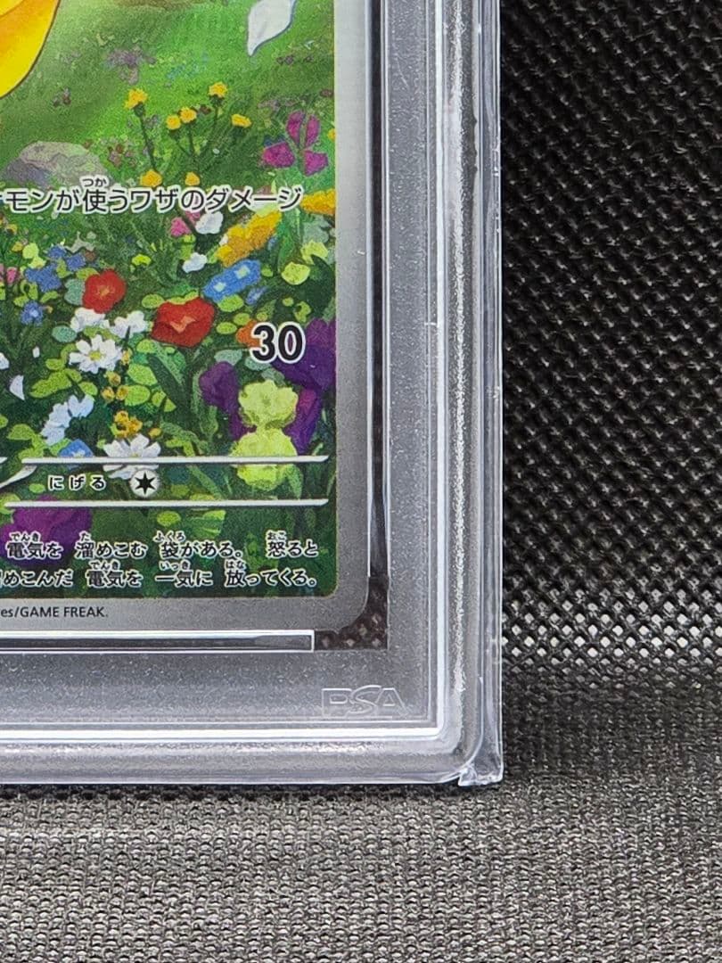 PSA10 ピカチュウ【P】夏が来たプロモ