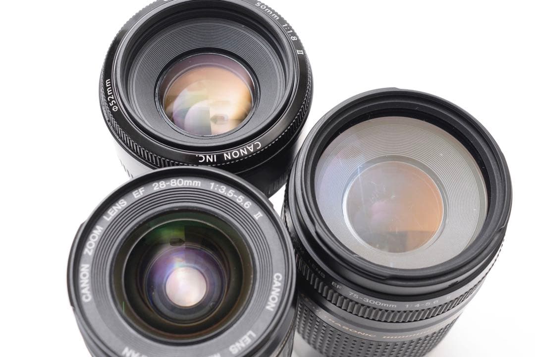 付属品付/Canon EOS 5D Mark IV標準&望遠&単焦点レンズセット