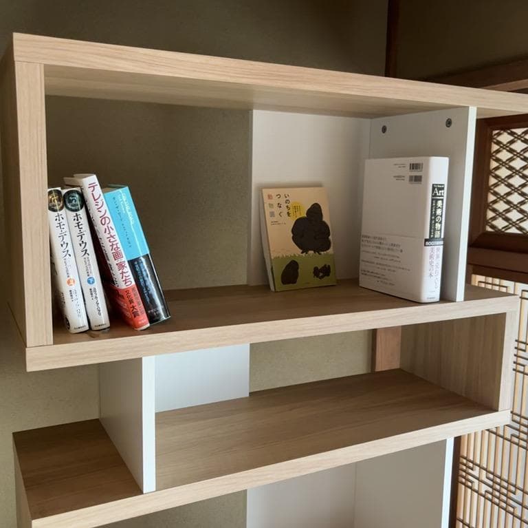 【大阪茨木・引き取り限定】デザイン本棚／ブックシェルフ｜おしゃれ収納