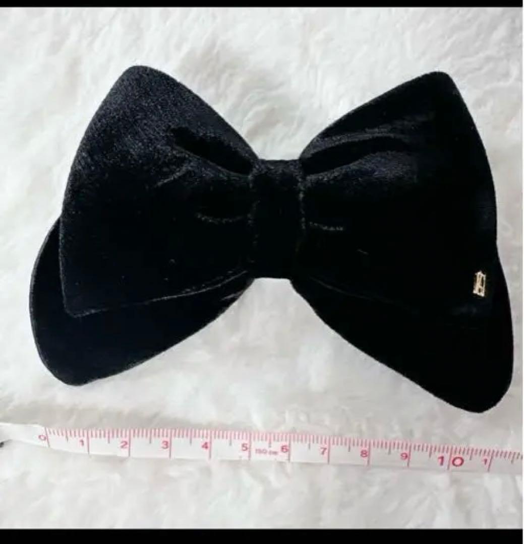 アレクサンドルドゥパリ　バレッタ　ベロア　リボン　ブラック