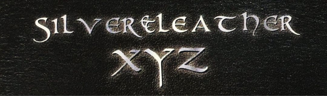 Big@ iPhone17Pro用 ベルトタイプ xyzオリジナルケース