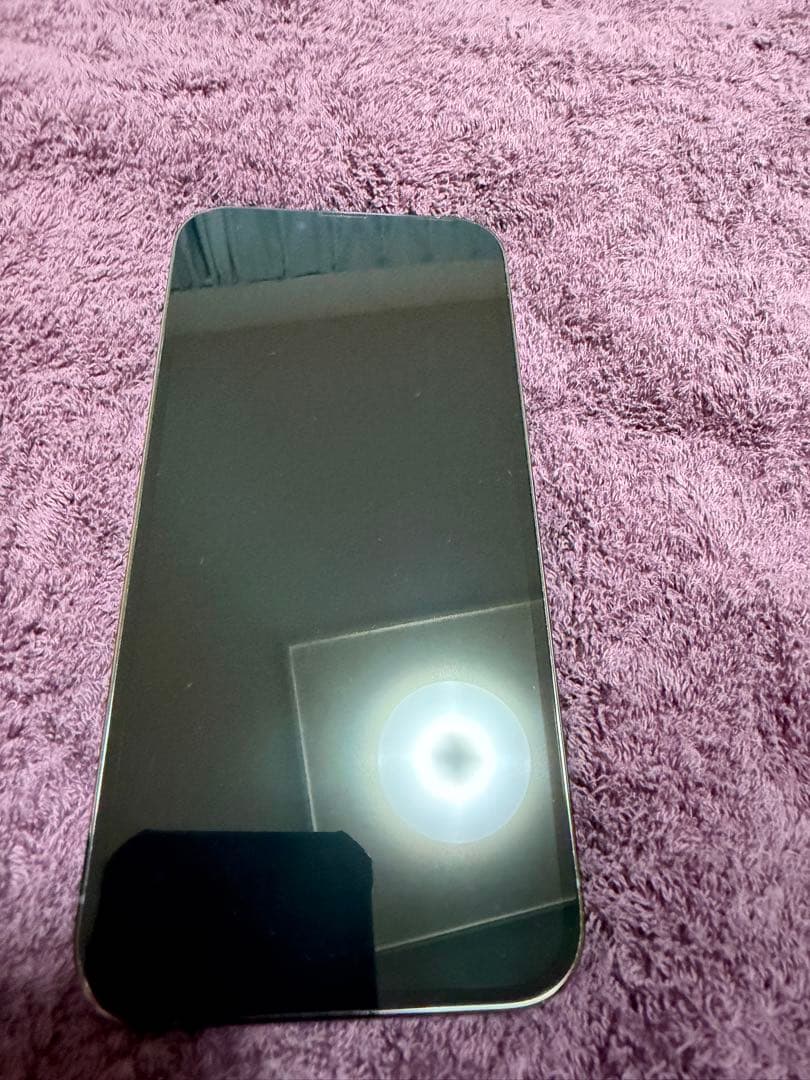 iPhone 13 Pro Max グリーン 本体　中古美品