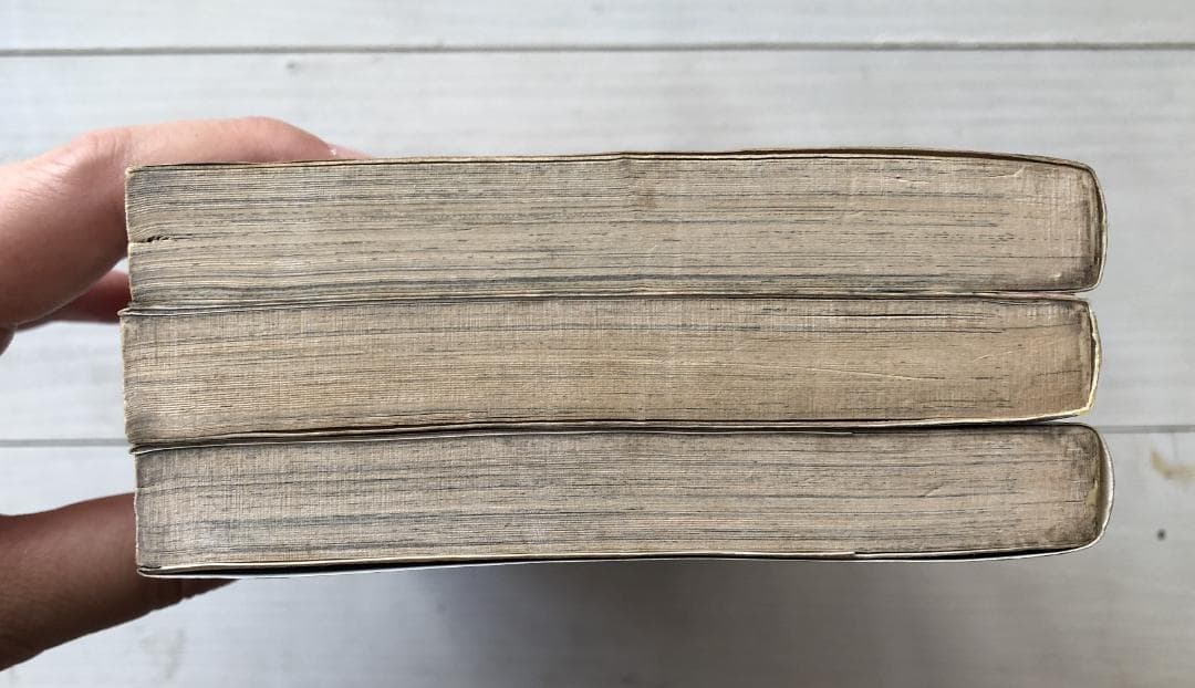 いばら美喜・悪魔の招待状（全3巻）立風書房レモンコミックス