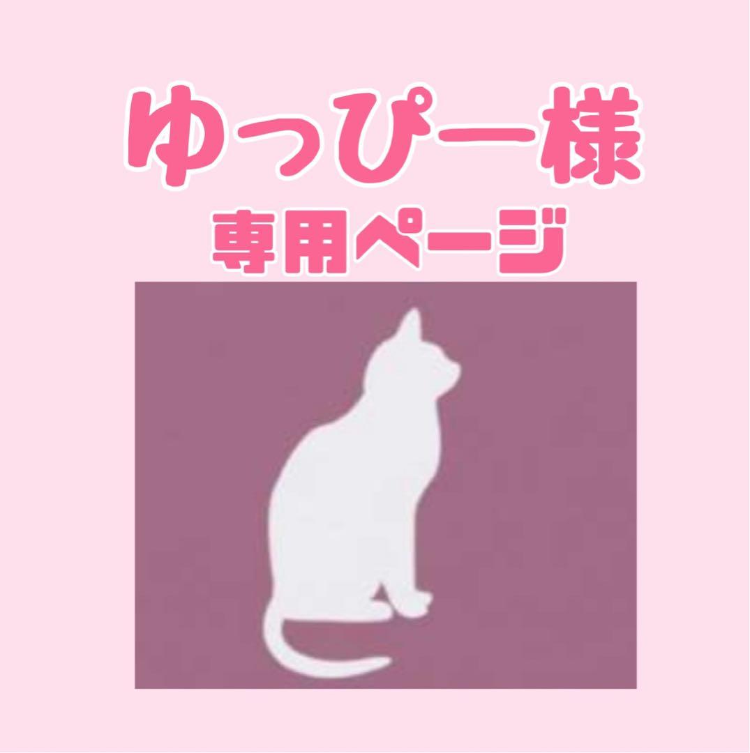 ニュートロ　シュプレモ　成猫用（チキン&サーモン）3kgパック×４袋