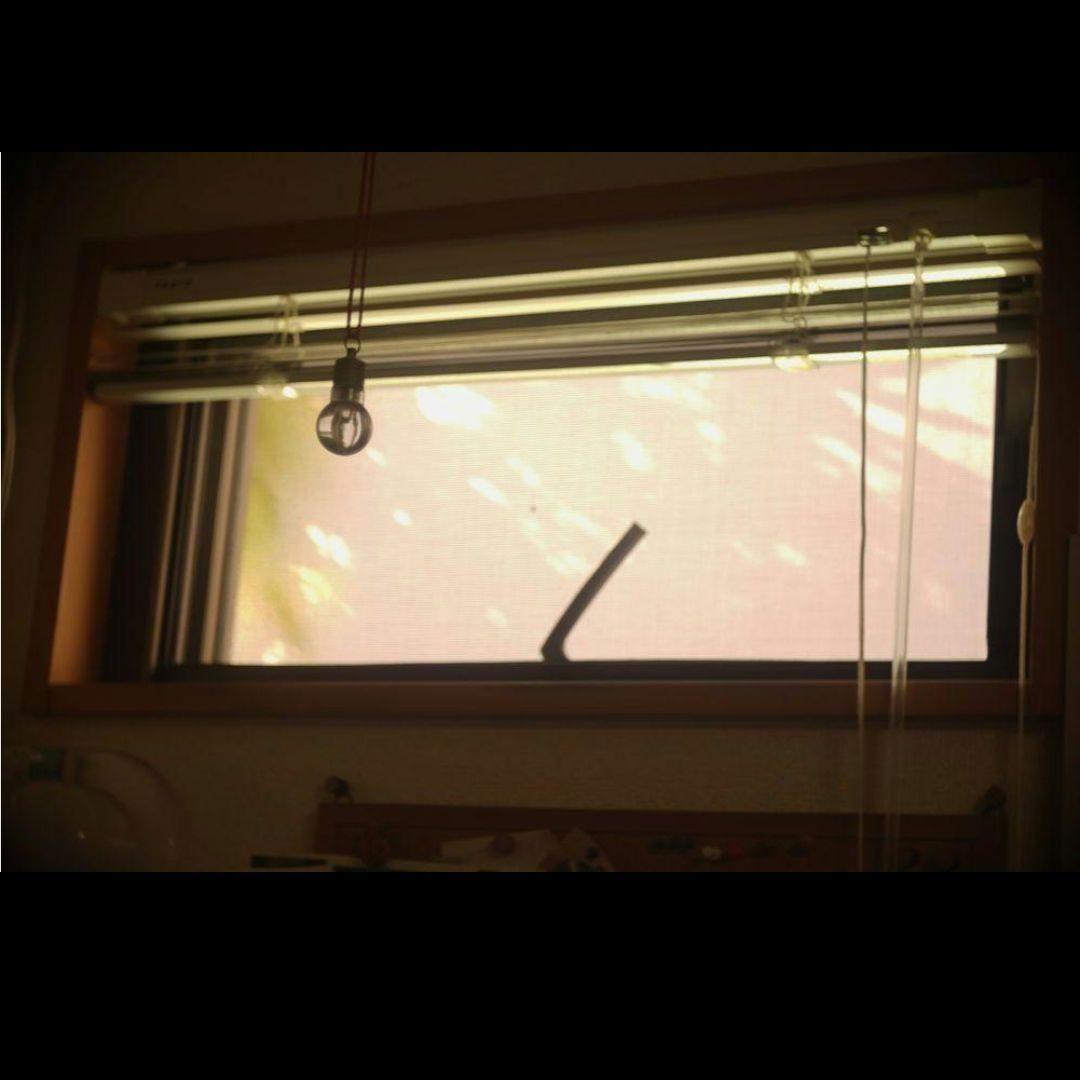 50/3.5 VELOSTIGMAT Cマウント