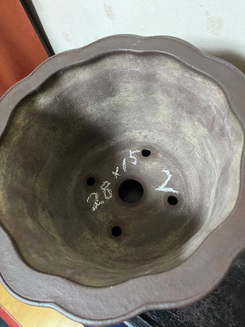 481 盆栽　盆栽鉢　植木鉢　和鉢　山秋