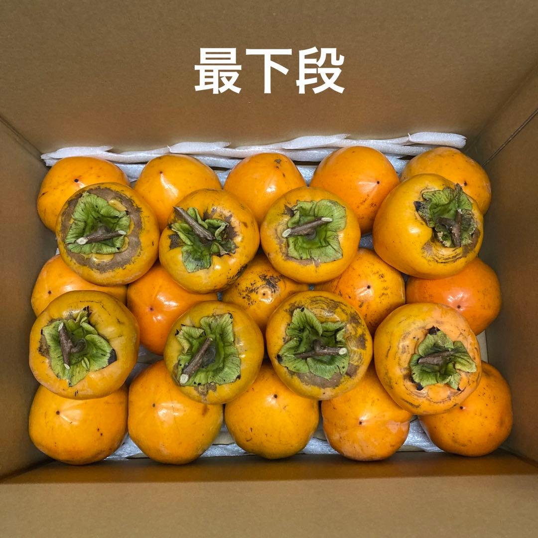 ①【ねろり】干し柿用渋柿 蜂屋柿 20kg