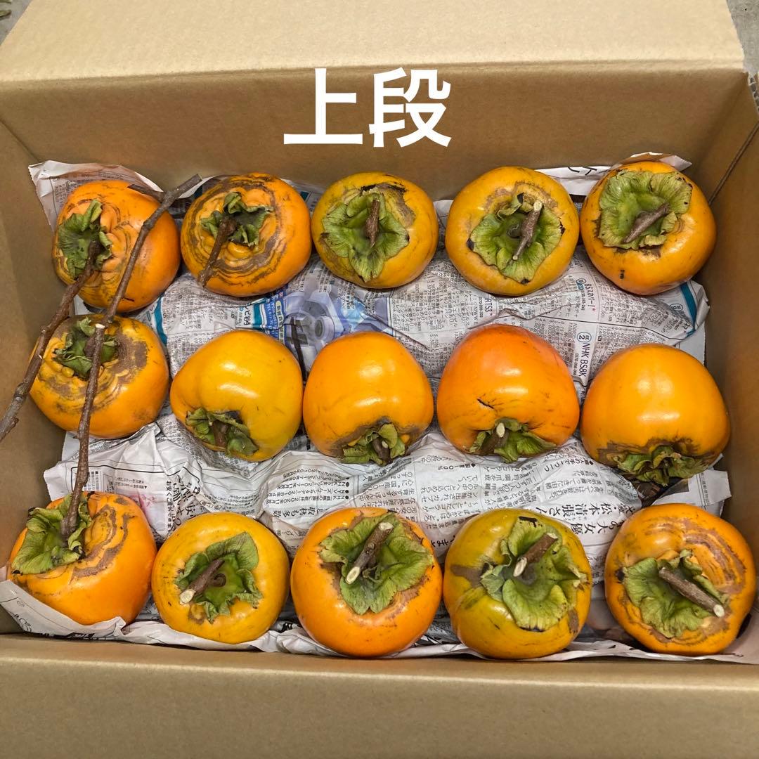 ①【ねろり】干し柿用渋柿 蜂屋柿 20kg