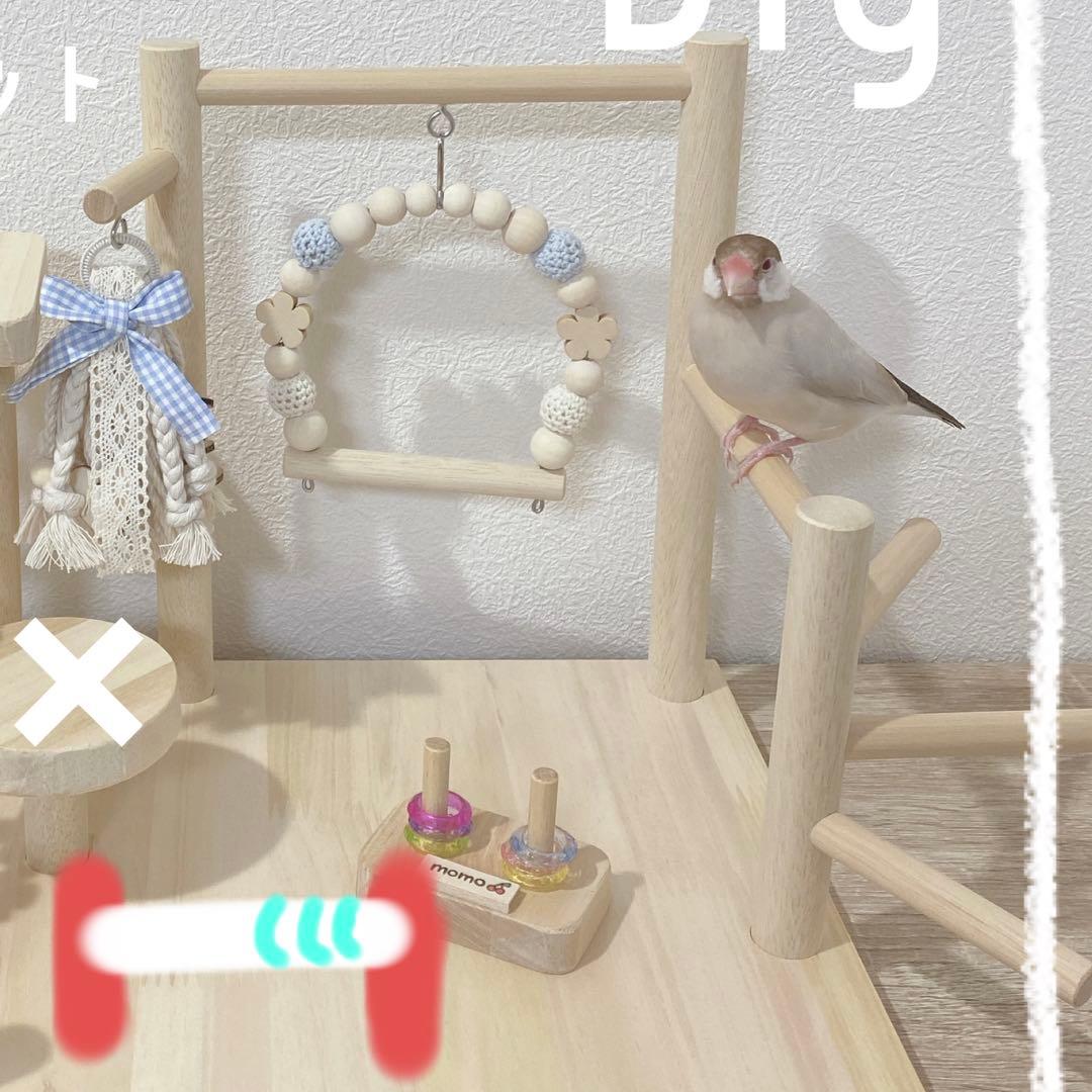 【Coffee】ことりのはじめておへや