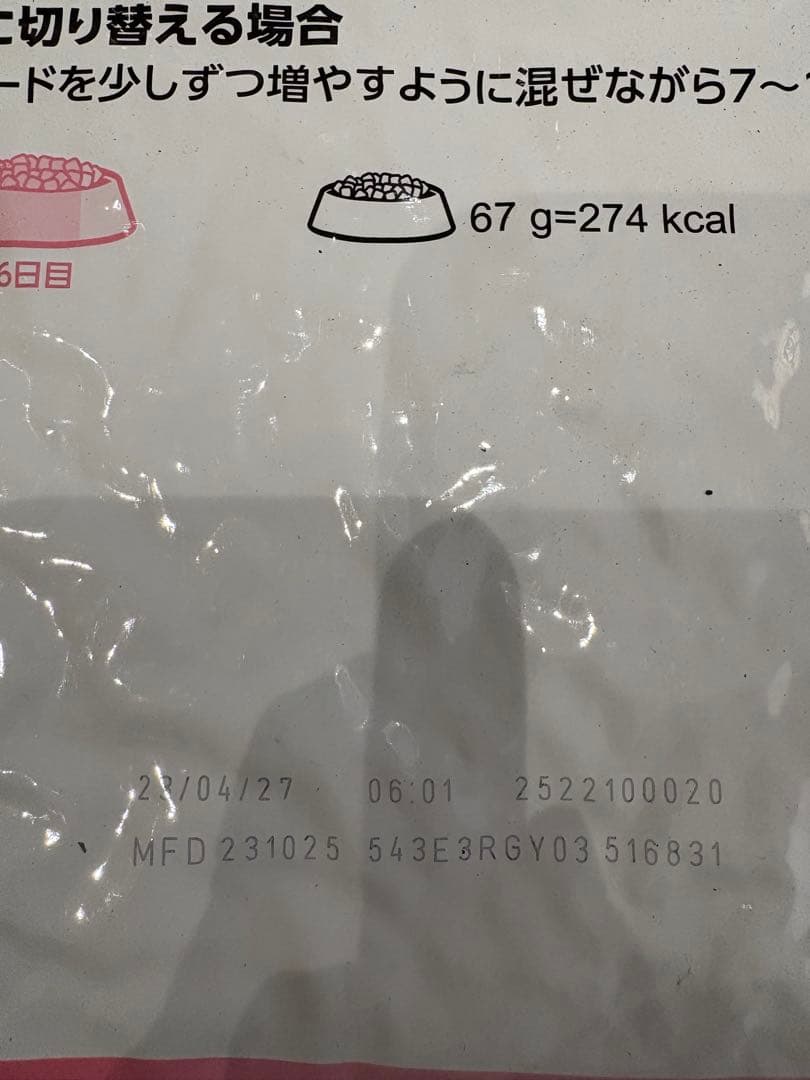 ロイヤルカナン  CANIN 成長後期の子猫用 10kg