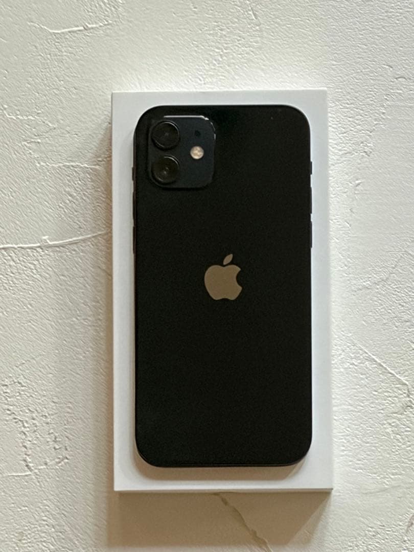 Apple iPhone 12 128GB ブラック　中古　ケーブル未使用　箱付