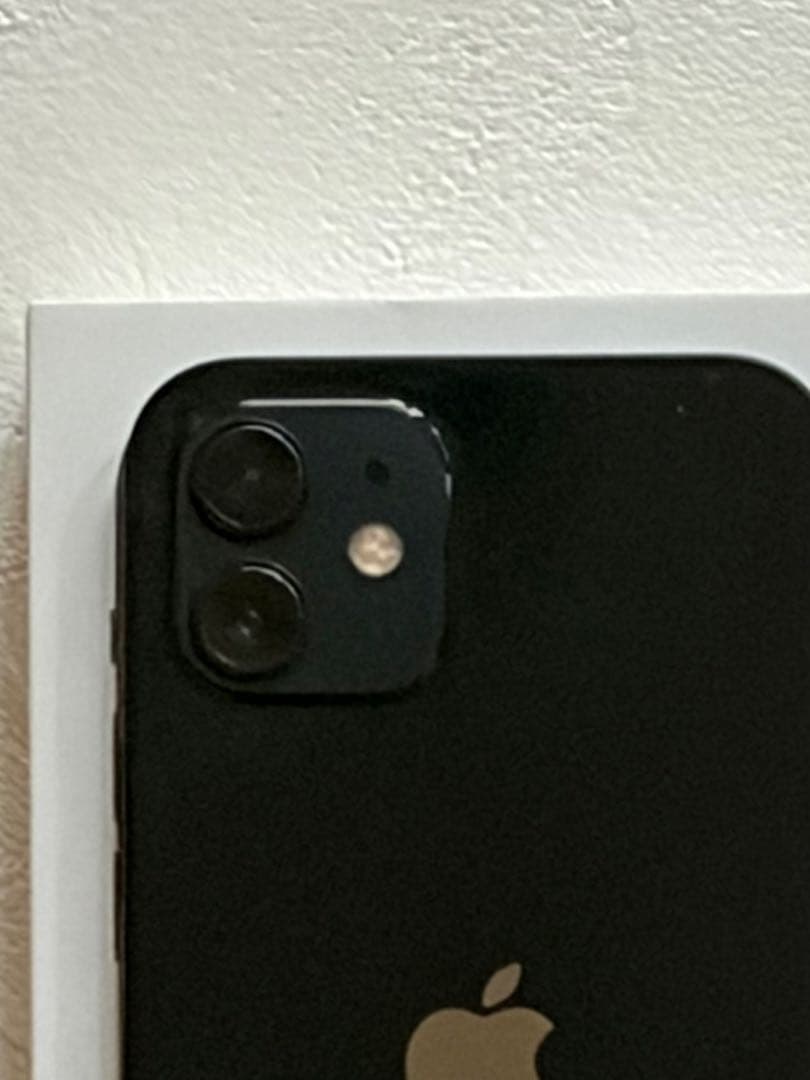 Apple iPhone 12 128GB ブラック　中古　ケーブル未使用　箱付