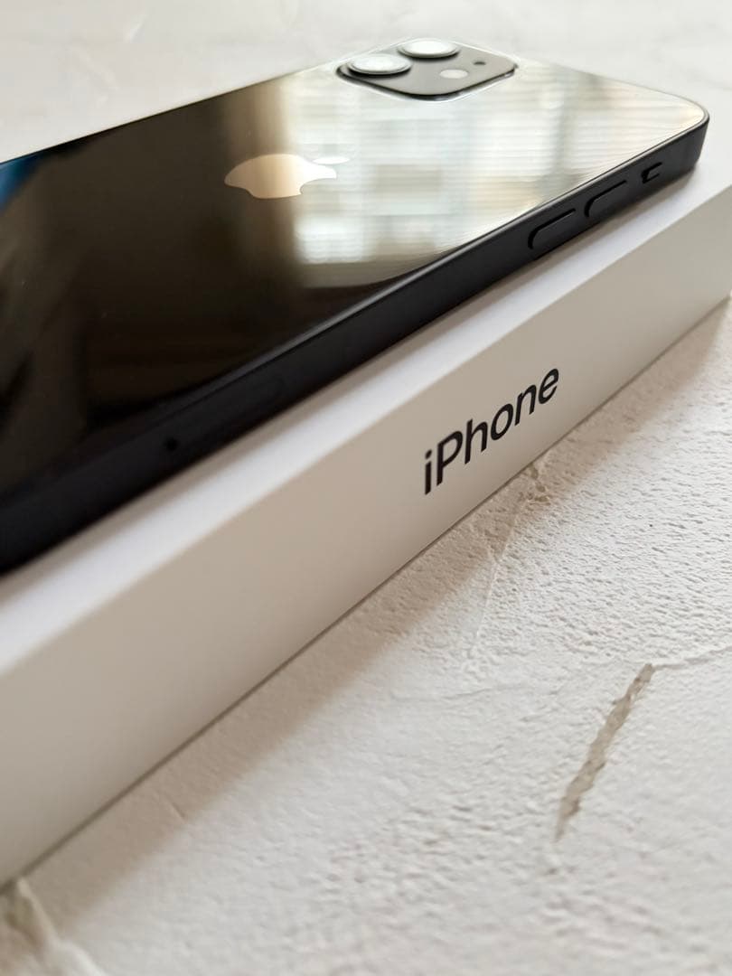 Apple iPhone 12 128GB ブラック　中古　ケーブル未使用　箱付