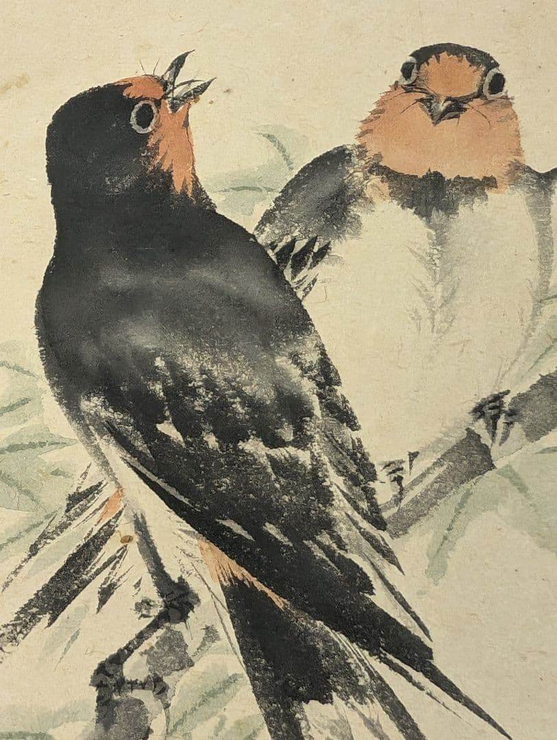 望月玉渓 望月玉泉 燕図 望月玉成 鑑題 日本画 花鳥画 茶掛軸 肉筆青楓飛爆図