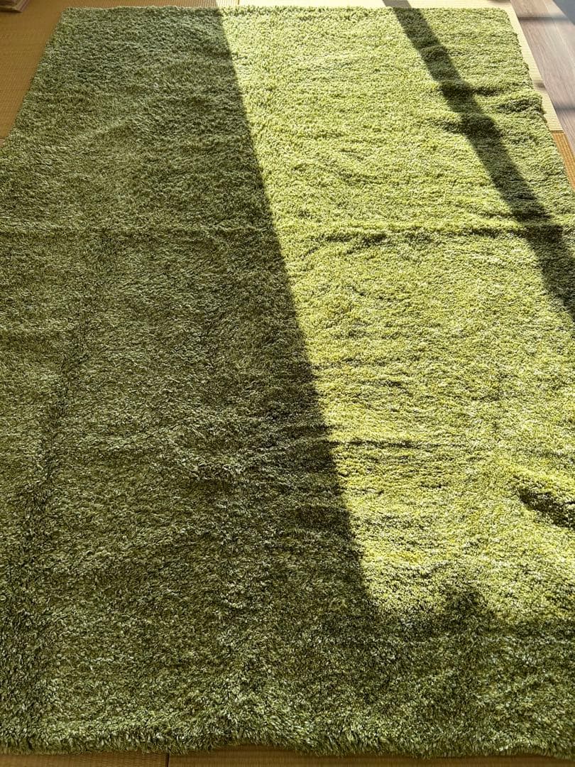 ラグ・カーペット(緑)