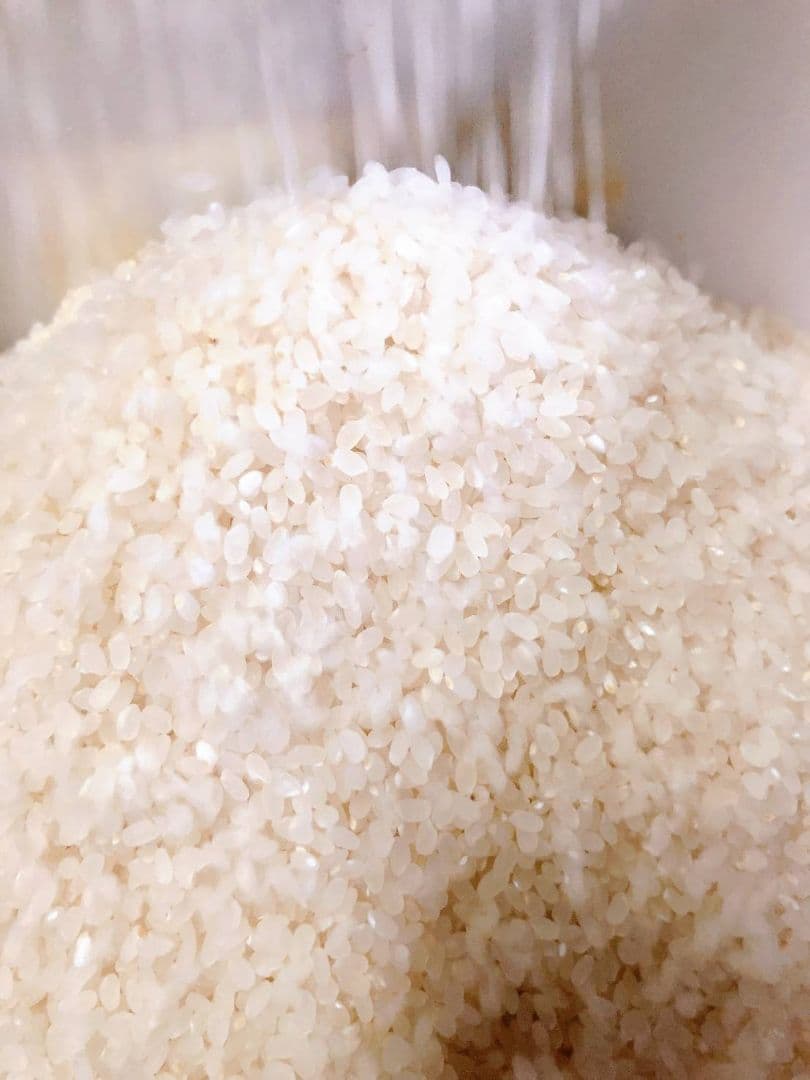 令和7年産　ゆめぴりか　10kg　精米　特A一等米　北海道米　ノーブレンド